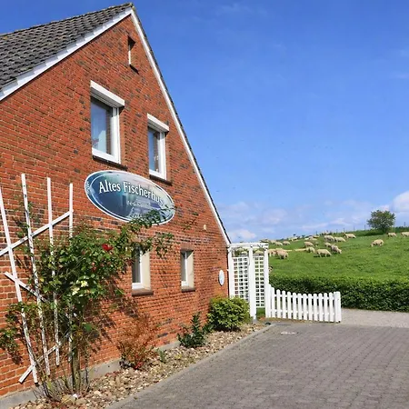 Apartment Baltrum Schillig